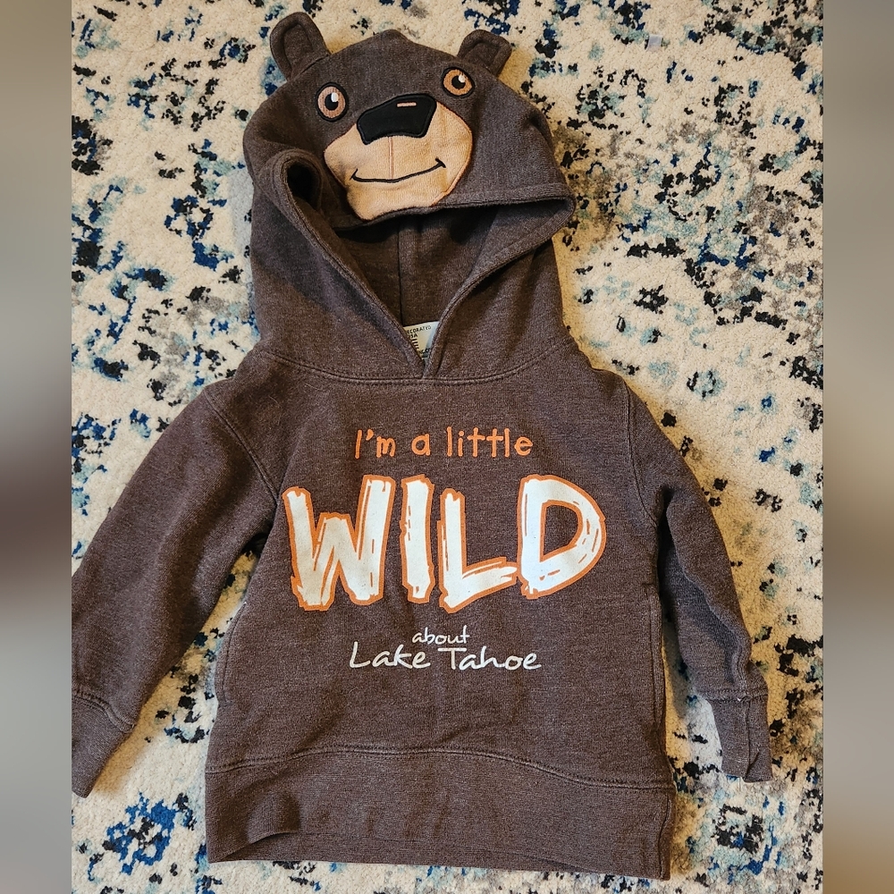 Artisan Brown Bear Hoodie with Wild Print